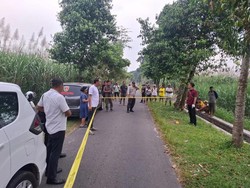 Pria di Kediri Temukan Sekantong Bondet di Sawah Lalu Meledak