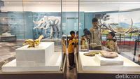 Melihat Museum Nasional di Tengah Wacana Jam Buka Sampai Malam