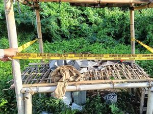 Geger, Bayi Masih Hidup Ditemukan di Atas Lapak Pedagang Durian di Bangli