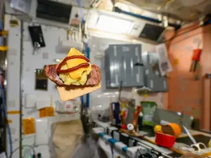 Astronot Bagikan Penampilan Bekal Burger di Luar Angkasa Astronot Bagikan Penampilan Bekal Burger di Luar Angkasa