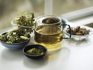 Minum Teh Herbal di Hutan Amazon Peru, Turis AS Langsung Tewas Minum Teh Herbal di Hutan Amazon Peru, Turis AS Langsung Tewas