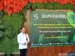 Badak Kalimantan dan Pesut Mahakam di Ambang Kepunahan