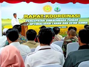 Mentan Amran Tantang Kaltara Cetak Sejarah dengan Mandiri Pangan Mentan Amran Tantang Kaltara Cetak Sejarah dengan Mandiri Pangan