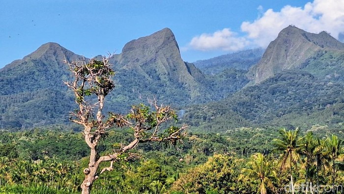Pendakian 3 gunung di Bondowoso resmi dilarang Pendakian 3 gunung di Bondowoso resmi dilarang