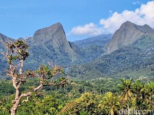 Pendakian 3 Gunung di Bondowoso Resmi Dilarang Pendakian 3 Gunung di Bondowoso Resmi Dilarang