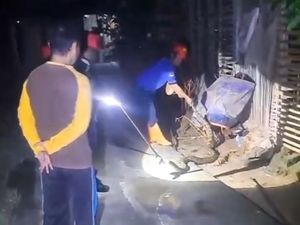 Ular Sanca 2 Meter Tepergok Hendak Mangsa Ayam di Patuk Gunungkidul Ular Sanca 2 Meter Tepergok Hendak Mangsa Ayam di Patuk Gunungkidul