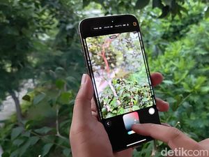 Bukan Filter! Photographic Styles di iPhone 16 Bikin Fotomu Unik Bukan Filter! Photographic Styles di iPhone 16 Bikin Fotomu Unik