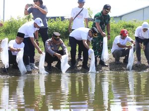 Hari Pers Nasional di Bojonegoro Digelar dengan Tanam dan Tabur Benih Ikan Hari Pers Nasional di Bojonegoro Digelar dengan Tanam dan Tabur Benih Ikan
