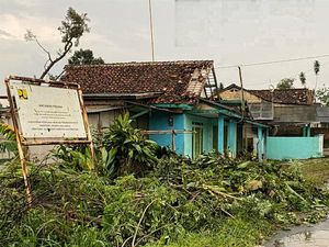 Cerita Warga Sukabumi Kala Puting Beliung Terbangkan Batang Pohon