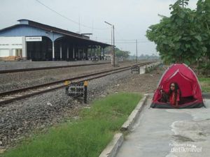 Napak Tilas Delanggu, Klaten: Antara Rojo Lele dan Gula Kolonial Napak Tilas Delanggu, Klaten: Antara Rojo Lele dan Gula Kolonial