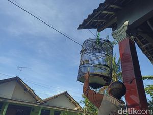 Getaran Gempa Blitar M 4,5 Terasa hingga Pacitan Getaran Gempa Blitar M 4,5 Terasa hingga Pacitan