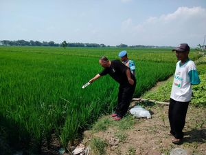 Terpeleset Masuk Sawah, Pria Sragen Tewas Kesetrum Jebakan Tikus Terpeleset Masuk Sawah, Pria Sragen Tewas Kesetrum Jebakan Tikus