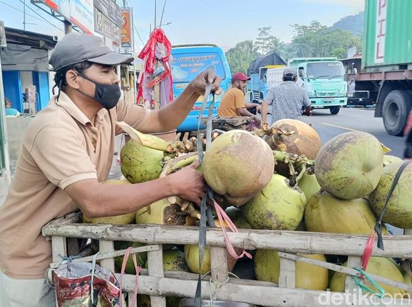 Geliat Sentra Kelapa di Lumajang