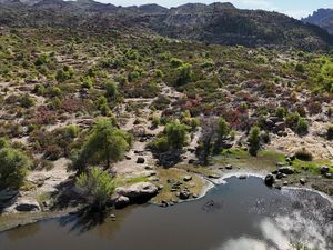 Potret Tanah Suci Suku Apache yang Bakal Dialihkan ke Perusahaan Tambang