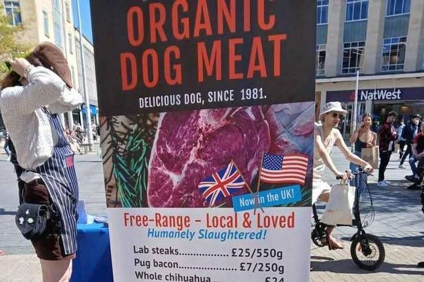 Kios Ini Dikecam Karena Jual Daging Anjing, Ternyata karena Alasan Ini
