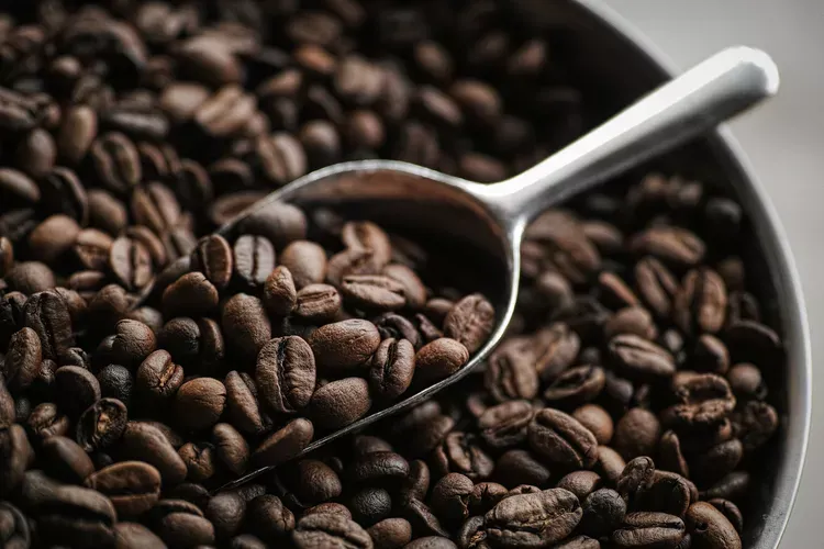 Kopi Monyet