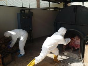 Daging Celeng 2,9 Ton Selundupan Lampung ke Palangka Raya Dimusnahkan Daging Celeng 2,9 Ton Selundupan Lampung ke Palangka Raya Dimusnahkan