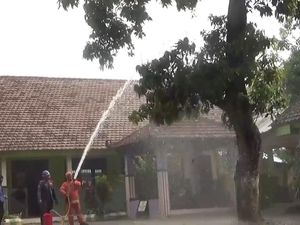 Serangan Ulat Bulu di SDN Menganto Jombang Terjadi Sejak 2024 Serangan Ulat Bulu di SDN Menganto Jombang Terjadi Sejak 2024
