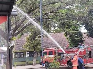 Ulat Bulu Serang SDN Menganto Jombang, 80 Siswa Gatal-gatal Ulat Bulu Serang SDN Menganto Jombang, 80 Siswa Gatal-gatal