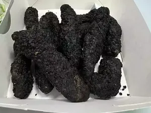 Nyeleneh! Menu Babi Goreng yang Tampilannya Mirip Feses Nyeleneh! Menu Babi Goreng yang Tampilannya Mirip Feses
