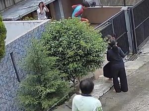 Main di Rumah Kosong, 2 Bocah Bandung Tiba-tiba Diserang Tawon Main di Rumah Kosong, 2 Bocah Bandung Tiba-tiba Diserang Tawon