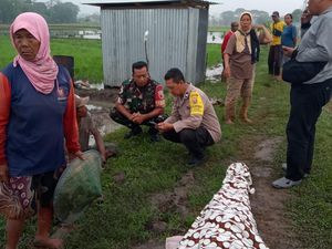 Lagi! Lansia Tewas Kena Jebakan Tikus di Madiun Lagi! Lansia Tewas Kena Jebakan Tikus di Madiun