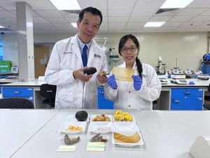 Aman dari Makanan Basi, Bungkus Ajaib Ini Bisa Beri Pertanda Pembusukan Aman dari Makanan Basi, Bungkus Ajaib Ini Bisa Beri Pertanda Pembusukan