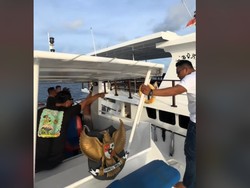 Viral Video Amukan Bupati Mentawai ke Kapten Kapal Pesiar