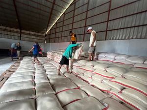 Serapan Gabah Tinggi, Bulog Indramayu Tak Lagi Impor Beras Serapan Gabah Tinggi, Bulog Indramayu Tak Lagi Impor Beras