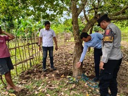 Pria Lombok Barat Ditemukan Tewas Tergantung di Pohon Jambu Mete