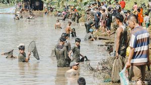 Serunya Melihat Kegiatan Ngubek Empang, Tradisi Betawi Depok Jelang Lebaran