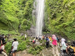 Healing di Kaki Gunung Gede, Curug Cibeureum Jadi Pilihan Favorit