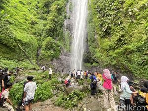 Healing di Kaki Gunung Gede, Curug Cibeureum Jadi Pilihan Favorit Healing di Kaki Gunung Gede, Curug Cibeureum Jadi Pilihan Favorit