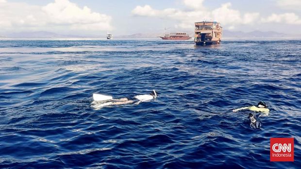 Pengunjung menikmati keindahan laut Flores dengan snorkeling. Ikan Pari Manta menjadi salah satu daya tarik wisatawan datang ke Labuan Bajo, NTT.