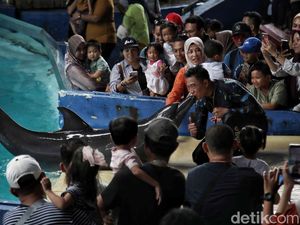 Menikmati Libur Waisak dengan Melihat Atraksi Lumba-lumba Menikmati Libur Waisak dengan Melihat Atraksi Lumba-lumba