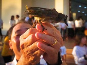 Umat Buddha di Tarakan Peringati Waisak dengan Puja Bakti dan Lepas Burung