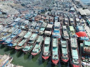 Adopsi VMS Akan Bikin Perikanan Tangkap Indonesia Naik Kelas Adopsi VMS Akan Bikin Perikanan Tangkap Indonesia Naik Kelas