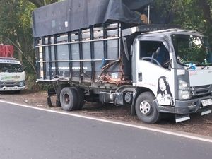 Tiga Kendaraan Kecelakaan Beruntun di Jalan Denpasar-Gilimanuk Tiga Kendaraan Kecelakaan Beruntun di Jalan Denpasar-Gilimanuk