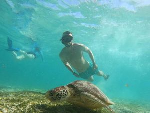 Penyu Hijau, Ikan, dan Patung Sepasang Kekasih di Gili Tramena Penyu Hijau, Ikan, dan Patung Sepasang Kekasih di Gili Tramena