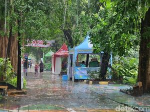 Hari Terakhir Long Weekend Waisak, KBS Prediksi Ada 13 Ribu Pengunjung Hari Terakhir Long Weekend Waisak, KBS Prediksi Ada 13 Ribu Pengunjung