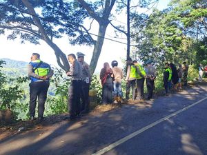 Landcruiser Angkut Wisatawan Gunung Bromo Terjun ke Jurang Landcruiser Angkut Wisatawan Gunung Bromo Terjun ke Jurang