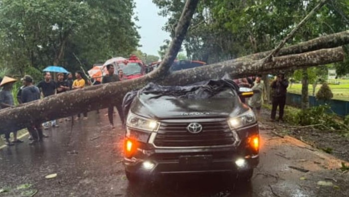 Mobil anggota Polisi Republik Indonesia yang tertimpa pohon di Tanjabtim.