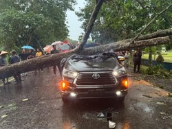 Ipda Almu yang Tewas Tertimpa Pohon Adalah Kanit Dalmas Polres Tanjabtim