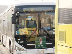 27 Rute Bus Shalawat Siap Antar Jemaah Haji RI dari Hotel ke Masjidil Haram