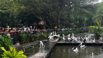 Ribuan Wisatawan Serbu Ragunan: Hari Cuti Waisak Jadi Momen Tak Terlupakan!