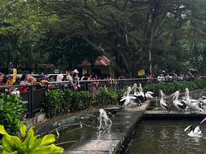 Libur Cuti Bersama Idul Adha 9 Juni, Ini Jadwal Buka Ragunan Libur Cuti Bersama Idul Adha 9 Juni, Ini Jadwal Buka Ragunan