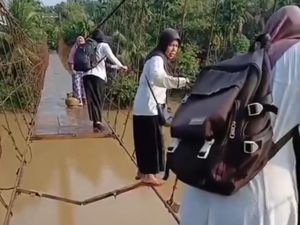 Bertaruh Nyawa Guru Pergi Mengajar Lewati Jembatan Berpijak di Tali Bertaruh Nyawa Guru Pergi Mengajar Lewati Jembatan Berpijak di Tali