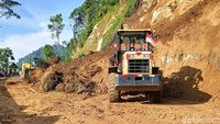 Tebing Longsor di Jalur Lumajang-Malang
