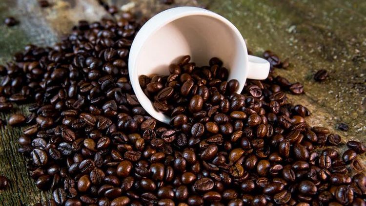 Kopi Berjamur Demi Hemat, Ginjal Jadi Taruhan.