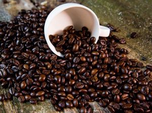 3 Fakta Kopi Muting khas Merauke yang Beraroma Tembakau 3 Fakta Kopi Muting khas Merauke yang Beraroma Tembakau